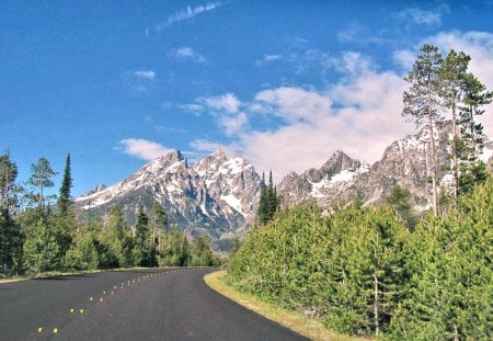 Road to the Grand Tetons - nature, wyoming, forest, mountains, road, tetons