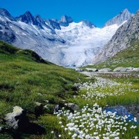 spring in the valley with mountains