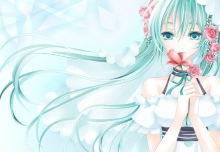 Pure White - roses, pretty, female, blossom, sublime, green eyes, reeze, veil, hot, beauty, flower, petals, wind, white, cute, own, floral, sexy, vocaloid, anime, elegant, windy, dress, hatsune miku, green hair, long hair, gorgeous, twin tails, anime girl, twintails, beautiful, girl, lovely, sweet, miku, rose, vocaloids