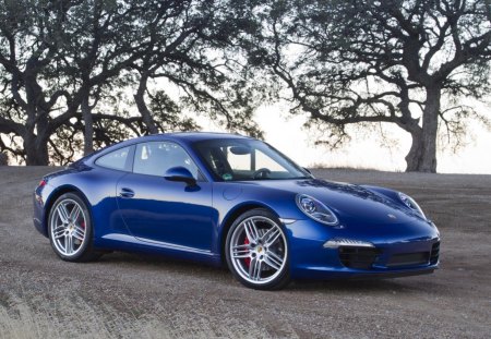 porsche - porsche, tree, road, blue