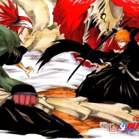 Renji VS Ichigo