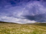 field before the rain