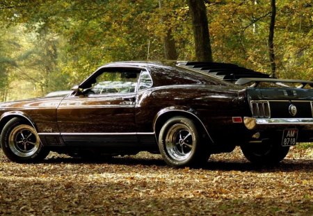 ford mustang - cars, ford, mustang, tree