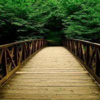 Wooden bridge