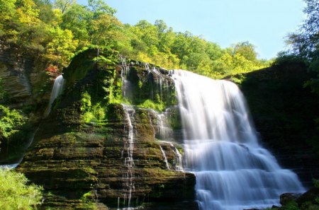 forest waterfall - rivers, sky, tree, forest