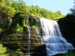 forest waterfall