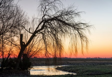 Sunset - sky, trees, clouds, river, sunset