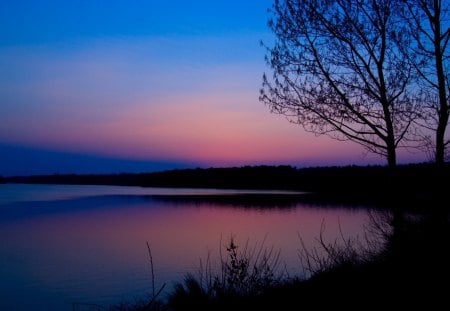 Sunset - sky, lake, clouds, tree, sunset