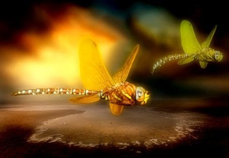 Dragonfly