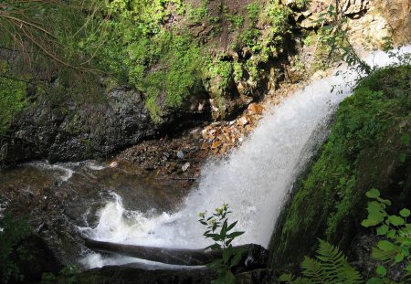 Forest Waterfall - forest, trees, waterfall, rocks