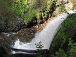 Forest Waterfall