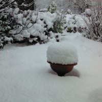 la neige