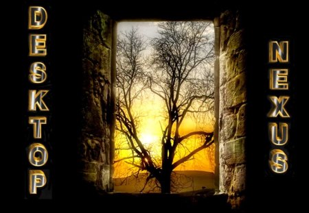 Window - efect in photoshop, window, letters, tree, sun