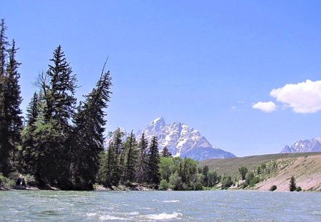 Sunny Day on the River - snake river, wyoming, sky, water, yellowstone, mountains, tetons, waves, nature, blue, pines