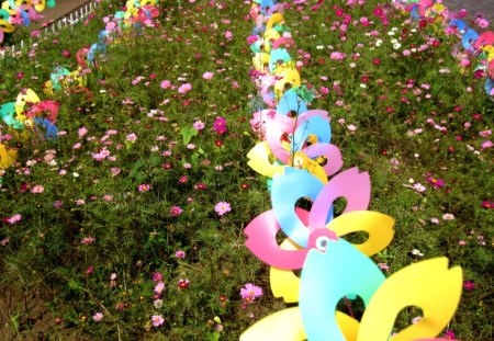 Lovely fields - fields, flowers, small windmills, lovely