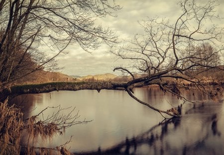 Winter Lake - water, landscape, clouds, fallen, tree