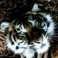 Fractal tiger