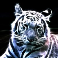 White tiger fractal