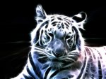 White tiger fractal