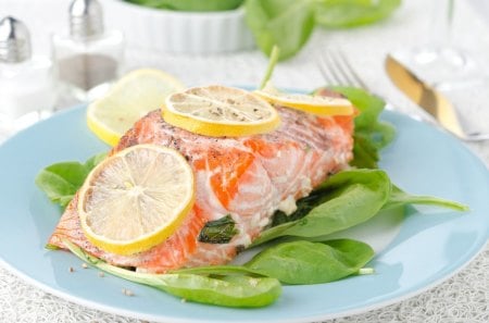 *** Salmon ... absolutely the best fish *** - fish, food, salmon, dinner