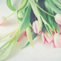 Pink Springâ™¥