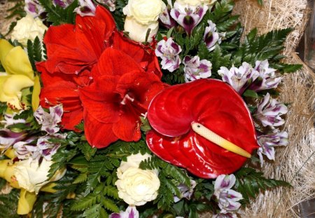 *** Beautiful red kallas *** *** - flowers, beautiful, nature, red kallas