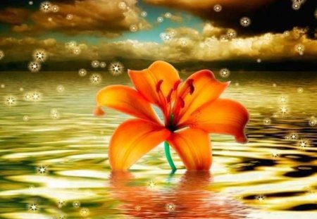 Orange flower - flower, mountains, clouds, light, orange, sea, glitter