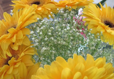 Flowers camouflage - white, flowers, photography, yellow, green, daisy