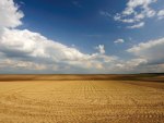 field and clouds