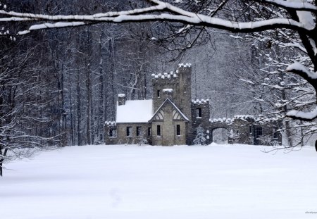 winter - house, snow, winter, forest