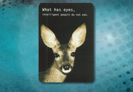 what has eyes - animal, wallpaper, rights, vegan, veg, love, vegetarian, deer