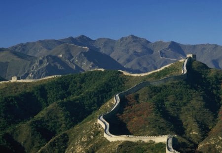 the great wall - wall, tree, mountains, great