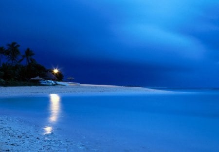 night at the beach - nights, beach, tree, sky