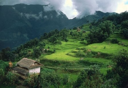 Num Village Arun River Region Nepal - mount, mountains, tree, house