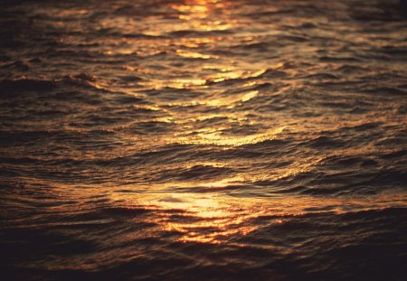 Water - water, ocean, sunset, sea