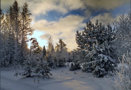 Winter - winter, sky, clouds, snow