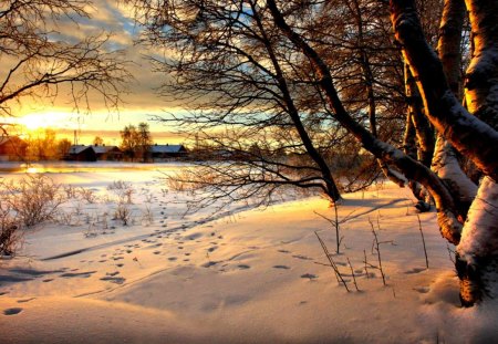 Winter Sunset - clouds, house, trees, winter, snowy, snow, sunset, nature, houses, sky