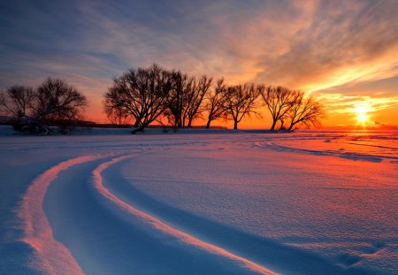 Winter Sunset - nature, sky, trees, clouds, snow, winter, sunset