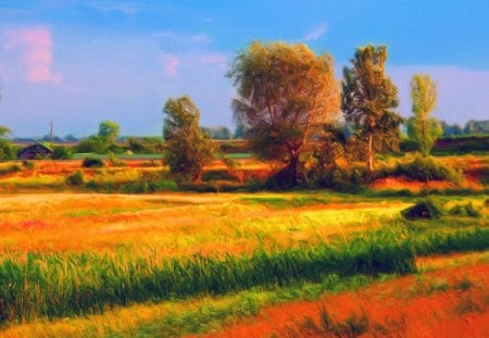 Nice fields - fields, trees, nature, colorful, grass