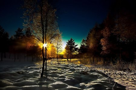 Winter Sunset - forest, landscape, trees, sun, snow