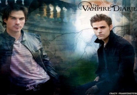 vampire diaries - brouthers, damim, steffan, vampire