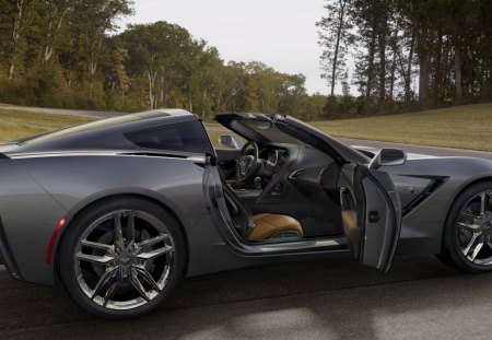 Chevrolet_Corvette_C7_Stingray_2014 - stingray, chevrolet, 2014, corvette, c7