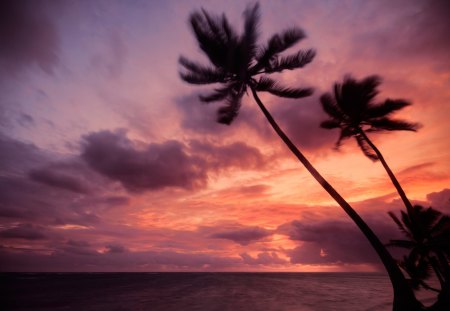 Sunset - clouds, sea, sunset, sky