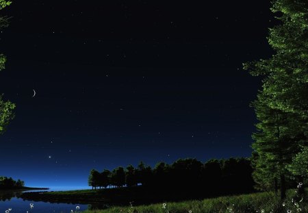 beautiful starry night - moon, trees, night, stars