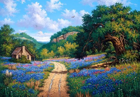 Hill country beckoning - nice, cottage, sky, trees, peaceful, path, painting, calm, art, pretty, calmness, clouds, house, beckoning, hills, lovely, serenity, country, nature, village, forest, beautiful, flowers, cabin