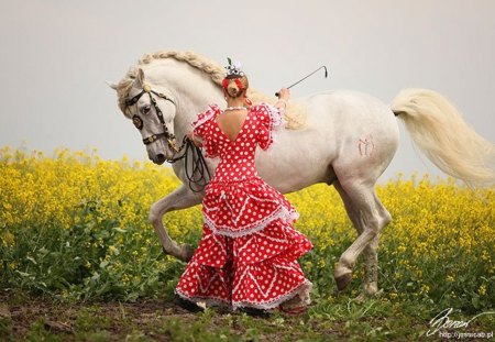 Spanish Walk - spanish, horses, dance, spanish walk, performance, andalusian