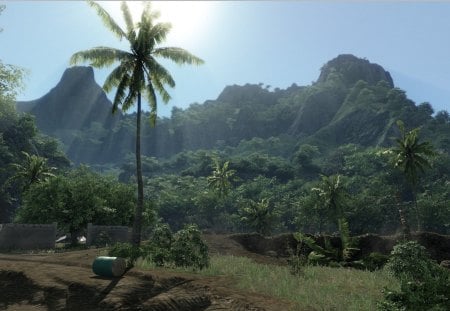 crysis - green, trees, light, sun