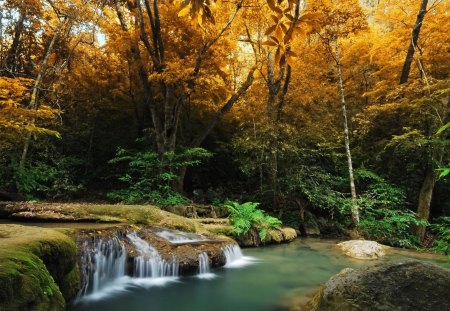 cascading falls in a corner of a forest - autumn, popular, falls, forests, stream, cascade, waterfalls, wallpaper, nature, forest