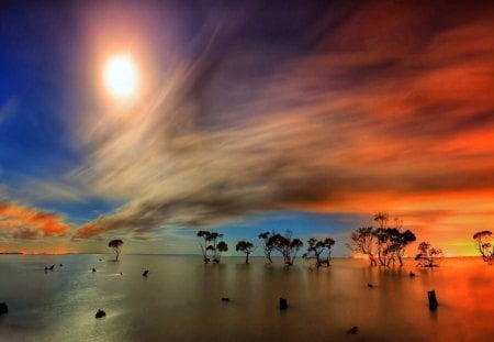 beautiful sky over trees in a bay - sky, clouds, bay, trees, colors