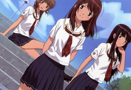 kimi kiss - shoujo, girls, anima, school, manga